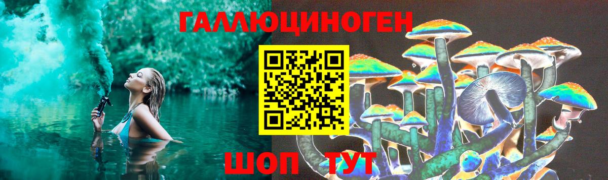 Петровск  Галлюциногенные грибы Psilocybe  Вход с VPN 